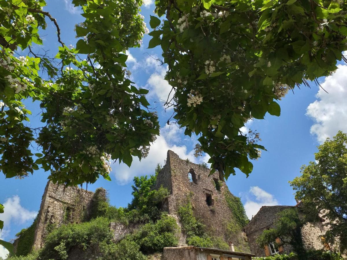 Les Pentes Du Chateau De Retourtour Lamastre Exterior photo
